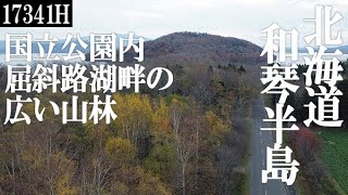 【北海道・弟子屈町】屈斜路湖畔、和琴半島の間口約150ｍ奥行約180ｍの広い山林【物件No.17341H】