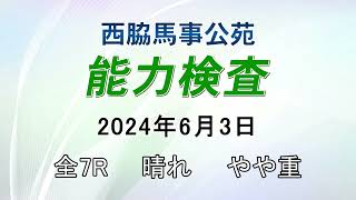 能力検査 2024年6月3日(月) 西脇馬事公苑