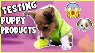 TRYING PUPPY PRODUCTS WITH MY CORGI PUPPY