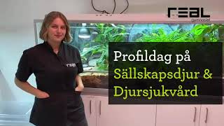 Profildag på Sällskapsdjur \u0026 Djursjukvård