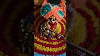 Mujhpe Chadha Krishn ka rag#shortvideo# viral video # Radhe Radhe 💐🙏