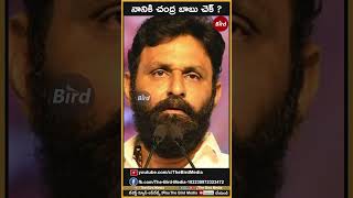 నానికి చంద్ర బాబు చెక్ | Chandrababu Check to Kodali Nani | BirdMedia