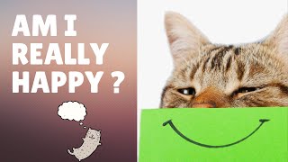 How Do You Know If Your Cat Is Happy? - Cats Knowhow