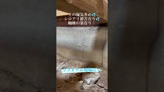 リフォーム中の床下点検