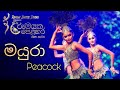 Mayura | Peacock Dance | Rivega Dance Studio | Rangika Jeewantha | Creative Dance | Sri Lankan Dance