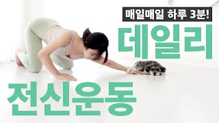 매일하기 좋은 데일리 3분 운동! 매일운동💪☺