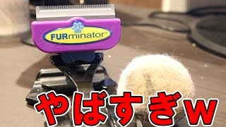 猫にファーミネーターをしたら予想以上の効果でビックリ！