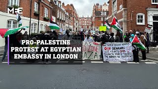 Pro-Palestine protest at Egyptian embassy in London