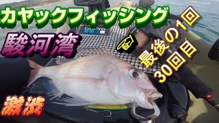 カヤックフィッシング【駿河湾】劇シブの海最後の30回目の真鯛(小)