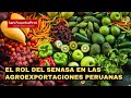 Rol de SENASA en la exitosa apertura de mercados de agroexportación