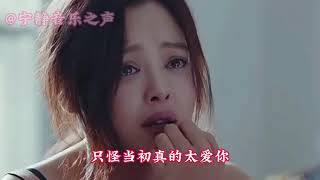 一首伤感情歌配音《红颜知己》旋律优美伤感撕心裂肺的歌声听哭了