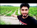 Barish Me Masti🌧️||Full Day Rain In My Village||Tanu Superstar