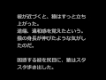 【山の怖い話】一生涯【朗読、怪談、百物語、洒落怖 怖い】