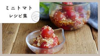 【ミニトマトレシピ集】マリネやピクルスからスープまで！大量消費にもおすすめの人気レシピ集♪