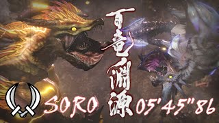 【MH:RISE】百竜ノ淵源　イブシマキヒコ / 淵源ナルハタタヒメ　双剣ソロ　05'45\