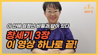 23. 창세기 3장에 '내 문제와 답'이 다 들어있습니다! 성경 전체를 이해하고 싶다면 창세기 3장을 보세요