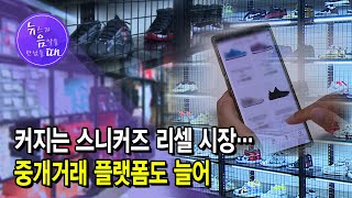 [뉴음때] 커지는 스니커즈 리셀 시장…중개거래 플랫폼도 늘어 / 서울 현대HCN