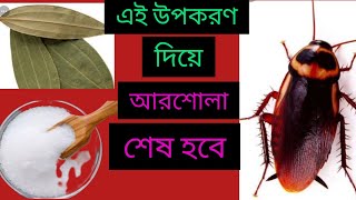 আরশোলা কিভাবে মরবে।।arsola ki bhabe morbe ll @suitabletips4619 @