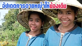 อัปเดตการดายหญ้าให้น้องเดิมวันนี้! | 17 มิถุนายน ค.ศ. 2025