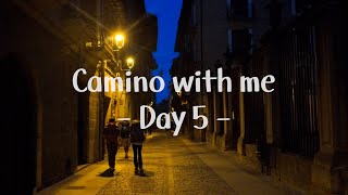 푸엔테 라 레이나부터 에스떼야까지 함께 걸어요! | Camino with me Day 5 | 산티아고순례길