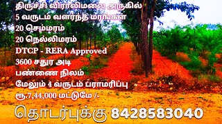 திருச்சியில் வளர்ந்த செம்மரங்கள் உடன் DTCP - RERA Approved பண்ணை நிலம் விற்பனைக்கு #farmland #trichy