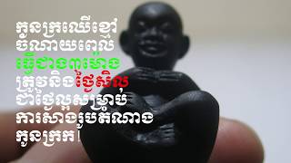 កូនក្រកឈើខ្មៅ​ ចំណាយពេល​ជាង៣ម៉ោង​ និង​ចំថ្ងៃសិល​ត្រូវនិងថ្ងៃទី២៤ តុលា​២០១៨​