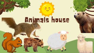Education, unique facts, animal life of sheep, squirrels, bears.
