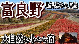 北海道（富良野・美瑛）ひとり旅。黄金色に輝く紅葉の大自然と、ログハウスの小さな宿。