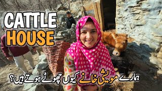 Cattle House Tour | Mountain Village Life Vlog | My Village | Daily Lifestyle | Vlogs New Video