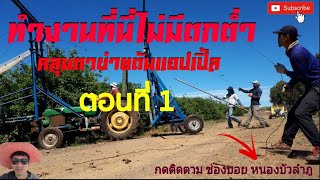 คลุมต้นแอปเปิ้ล  ในอิสราเอล ตอนที่ 1