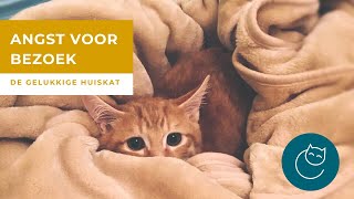 WAT TE DOEN ALS JE KAT BANG IS VOOR BEZOEK - De gelukkige huiskat- kattengedrag