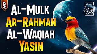 Surah Al Mulk,Surah Ar Rahman,Surah Al Waqiah,Surah Yasin | Pengantar Tidur Penenang Hati & Pikiran