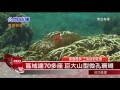 20151230 成功三仙台釣友會 召開護魚公聽會