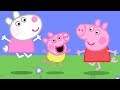 Peppa Pig Świnka Peppa po Polsku | Świnka Dzidzia ! | Bajki Po Polsku