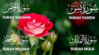 Surah Yaseen ❤️ Surah Rahman ❤️ Surah Mulk ❤️ Surah Waqiah Beautiful Voice ❤️ Heart Soothing