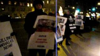 Sea Shepherd Solidarity Protest NYC against Japanese Whaling and Sinking of the Ady Gil 1-09-10 pt2