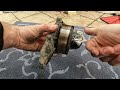 how to replace timing chain and setup engine timing 2 2i ctdi n22a2 part2