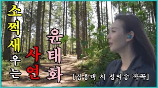 소쩍새 우는 사연 - 윤태화 (원곡 정성실)  김용택 시  정의송 작곡  :  이 노래는 귀로 듣는 노래가 아니고 가슴으로 듣는 노래인것 같습니다. 정의송님 명곡중에 하나 입니다.