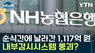 금융사고로 증발한 1,117억...회수는 손 놓은 농협·축협? [Y녹취록] / YTN