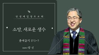 안성제일장로교회 양신 목사 / 소망, 새로운 생수