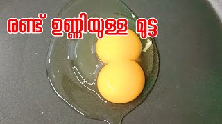 രണ്ട് ഉണ്ണിയുള്ള മുട്ട കണ്ടിട്ടുണ്ടോ നിങ്ങൾ|Double Egg Yolks