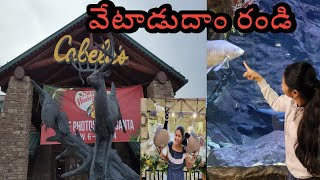 animals || Tour of cabelas || cabelas sports goods store in Hartford Connecticut ||hunting