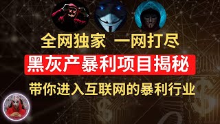 2025年最新灰产项目揭秘带你了解黑产灰色产业赚钱项目到底多暴利？黑灰产赚钱项目深度解析灰产项目赚钱2025