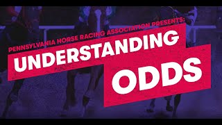 Understanding Odds in Horse Racing