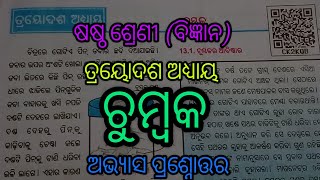 6th class science question answer //chapter -13//ଚୁମ୍ବକ //ଷଷ୍ଠ ଶ୍ରେଣୀ ବିଜ୍ଞାନ ଅଭ୍ୟାସ ପ୍ରଶ୍ନୋତ୍ତର ।