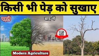 पेड़ सुखाने की दवा  Per Sukhaye Free me !! Modern Agriculture!!