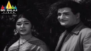 Jeevitha Chakram Movie NTR and Vanisri in Park Scene | NTR, Vanisri, Sharada | Sri Balaji Video