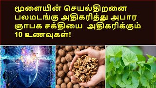 ஞாபக சக்தி அதிகரிக்க எந்த உணவுகளை சாப்பிட வேண்டும் தெரியுமா? | 10 Amazing memory foods