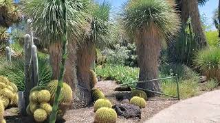 April 24, 202 BERY .VERY BEAUTIFUL GARDEN .. MUY MUY BONITO JARDIN..ARCADIA CALIFORNIA USA🤩🌳🪴🌿🌵🌻🌻