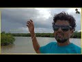 muthupet lagoon அலையாத்திகாடுகள் mangrove forest முத்துப்பேட்டை லகூன் mangrove forest vlog